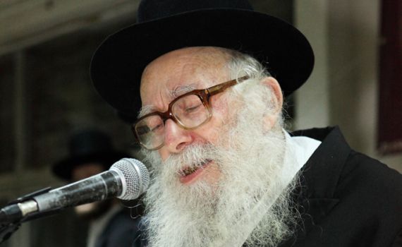 להגיד שהרב קרליץ היה שייך למגזר הליטאי זו קטנות