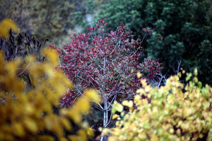 אחרי החגים, חודש חשוון: איך חוזרים לשגרה?