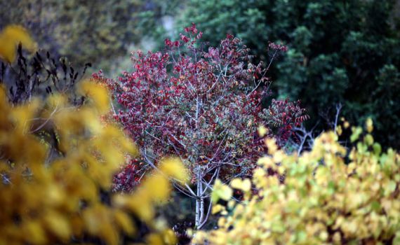 אחרי החגים, חודש חשוון: איך חוזרים לשגרה?