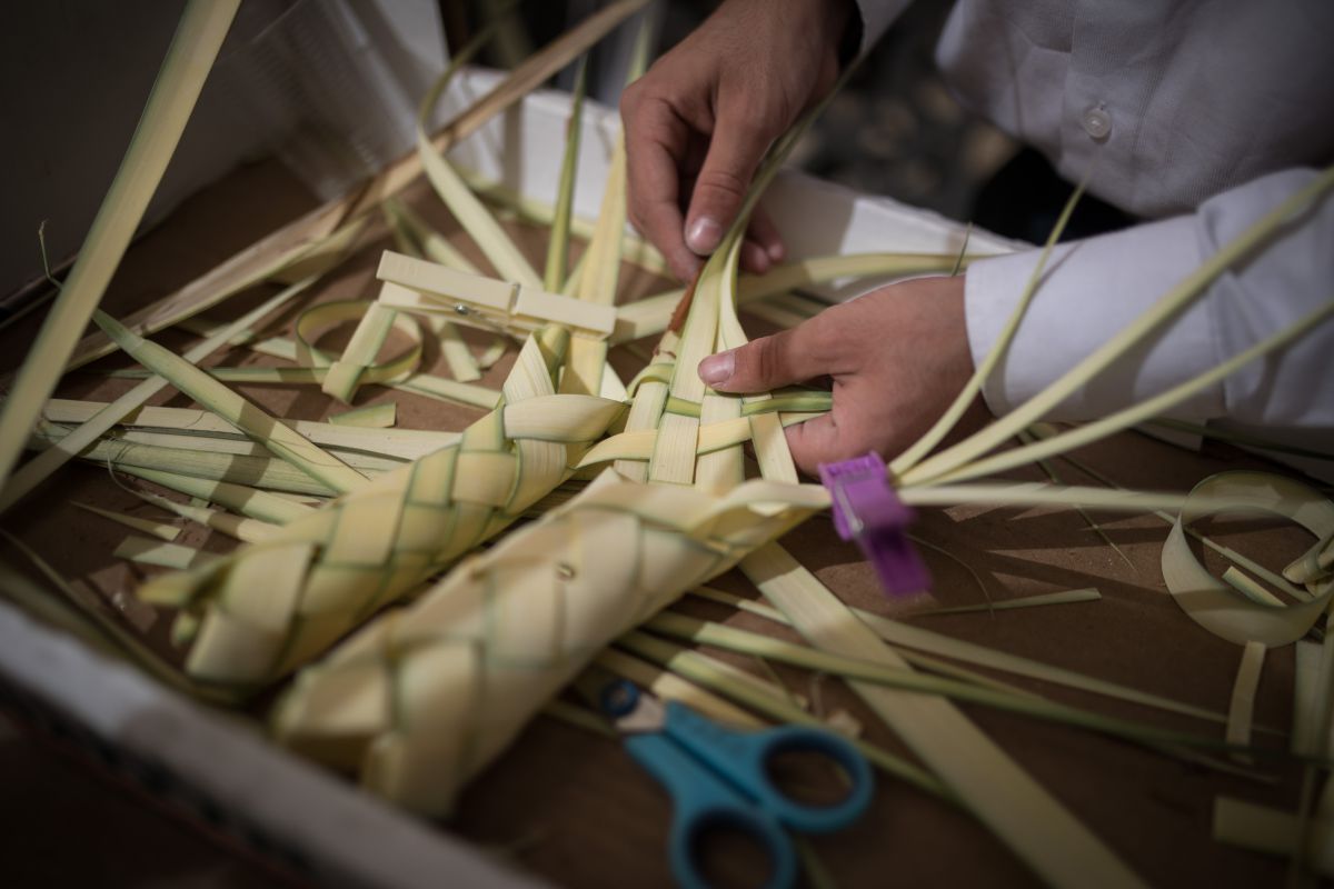 שימו לב: עשרות אלפי קוישקלך יימכרו בישראל