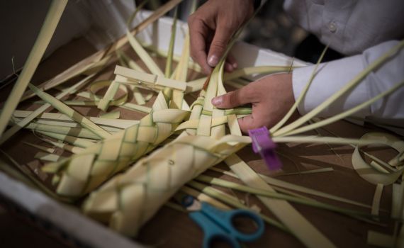 שימו לב: עשרות אלפי קוישקלך יימכרו בישראל
