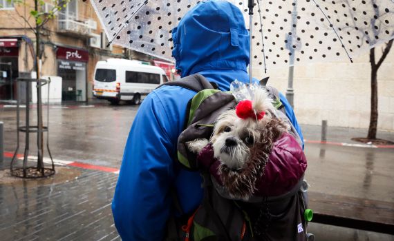 התחזית: בלילה גשם בדרום; ראשון גשם בצפון ובמרכז