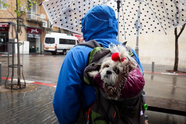 התחזית: בלילה גשם בדרום; ראשון גשם בצפון ובמרכז