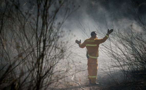 שריפה בשומרון באיזור מבוא דותן