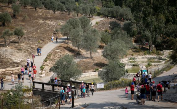 שיא חדש: כ-150 אלף מטיילים ברחבי הארץ