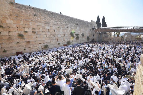 חול המועד סוכות: מתי ברכת הכוהנים בכותל?