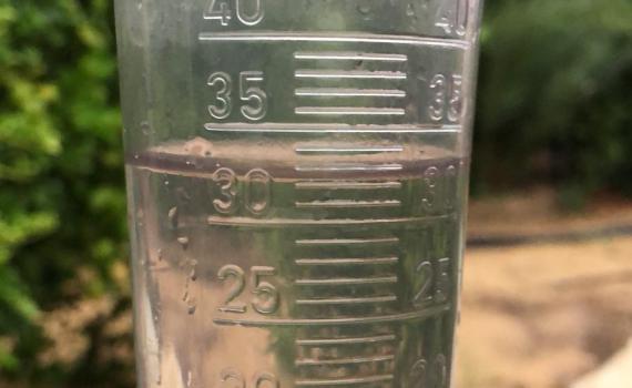 הערבה: ביום אחד ירדה כמות גשם שיורדת בשנה