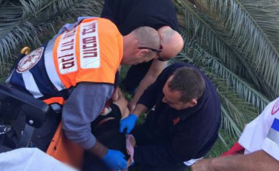 קריסת העץ בדרך לביה"ס: הדרדרות במצב אחת הילדות