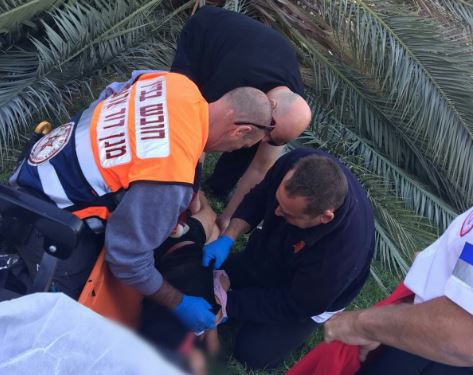 קריסת העץ בדרך לביה"ס: הדרדרות במצב אחת הילדות