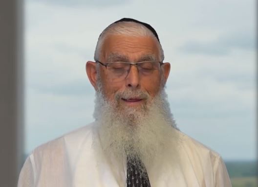 איך נראית מדינה יהודית אידיאלית? הרב יעקב אריאל בסרטון מפתיע