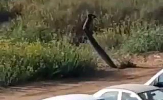 צבע אדום באשדוד: הרקטה נפלה, לא התפוצצה. תיעוד