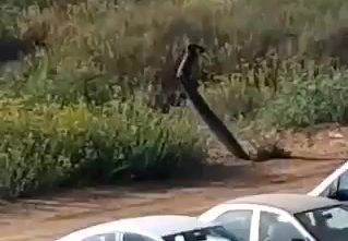 צבע אדום באשדוד: הרקטה נפלה, לא התפוצצה. תיעוד