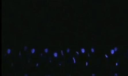 רבנים ורבניות נגד ריקודי האולטרה הסגול: "לא מכבד"