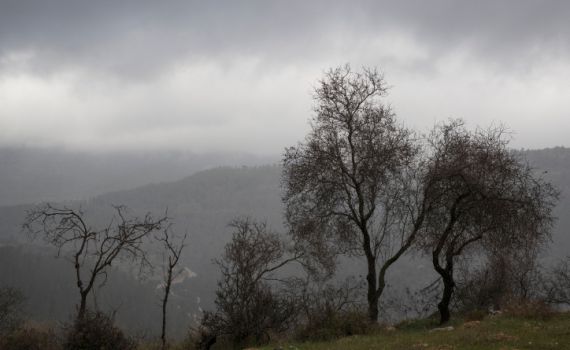 נאה, קר מאוד ובלי גשם: תחזית מזג האוויר