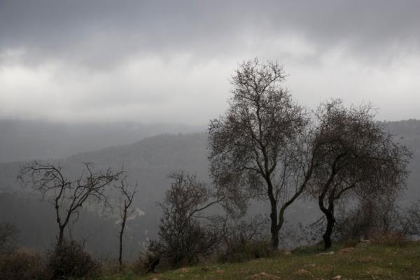 נאה, קר מאוד ובלי גשם: תחזית מזג האוויר