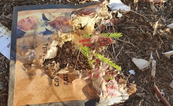 נמנע אסון: מטען חבלה בתוך ספר של אריה אלדד