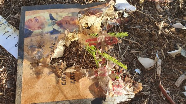 נמנע אסון: מטען חבלה בתוך ספר של אריה אלדד