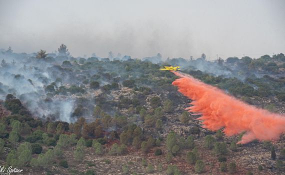 לאחר מאבק: הושגה שליטה על השריפה בצור הדסה