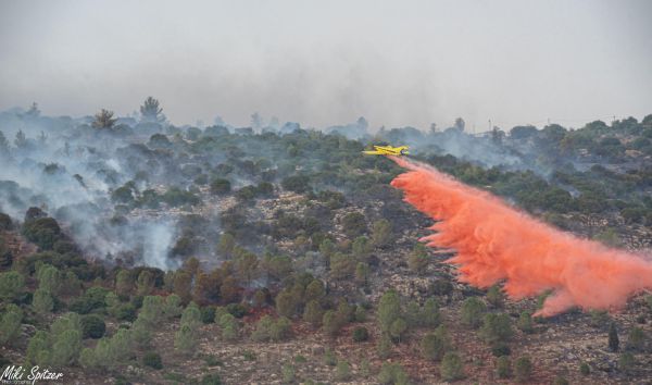 לאחר מאבק: הושגה שליטה על השריפה בצור הדסה
