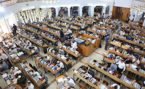 גיוס המונים לקרני שומרון | הערבי מפרדיס שנרתם