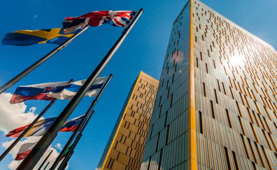 האיחוד האירופי יכריע האם לסמן מוצרים מהתנחלויות