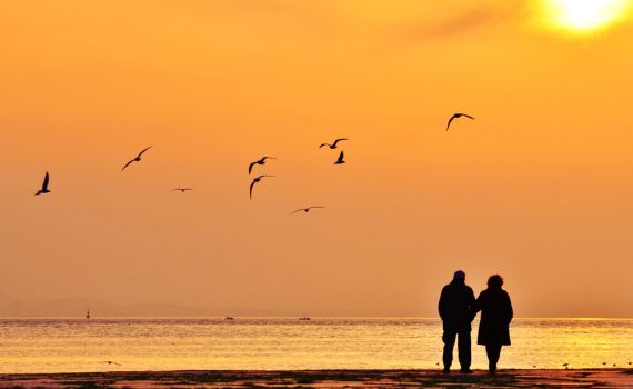 על הפונדקאית הראשונה בתנ"ך ומודלים של זוגיות