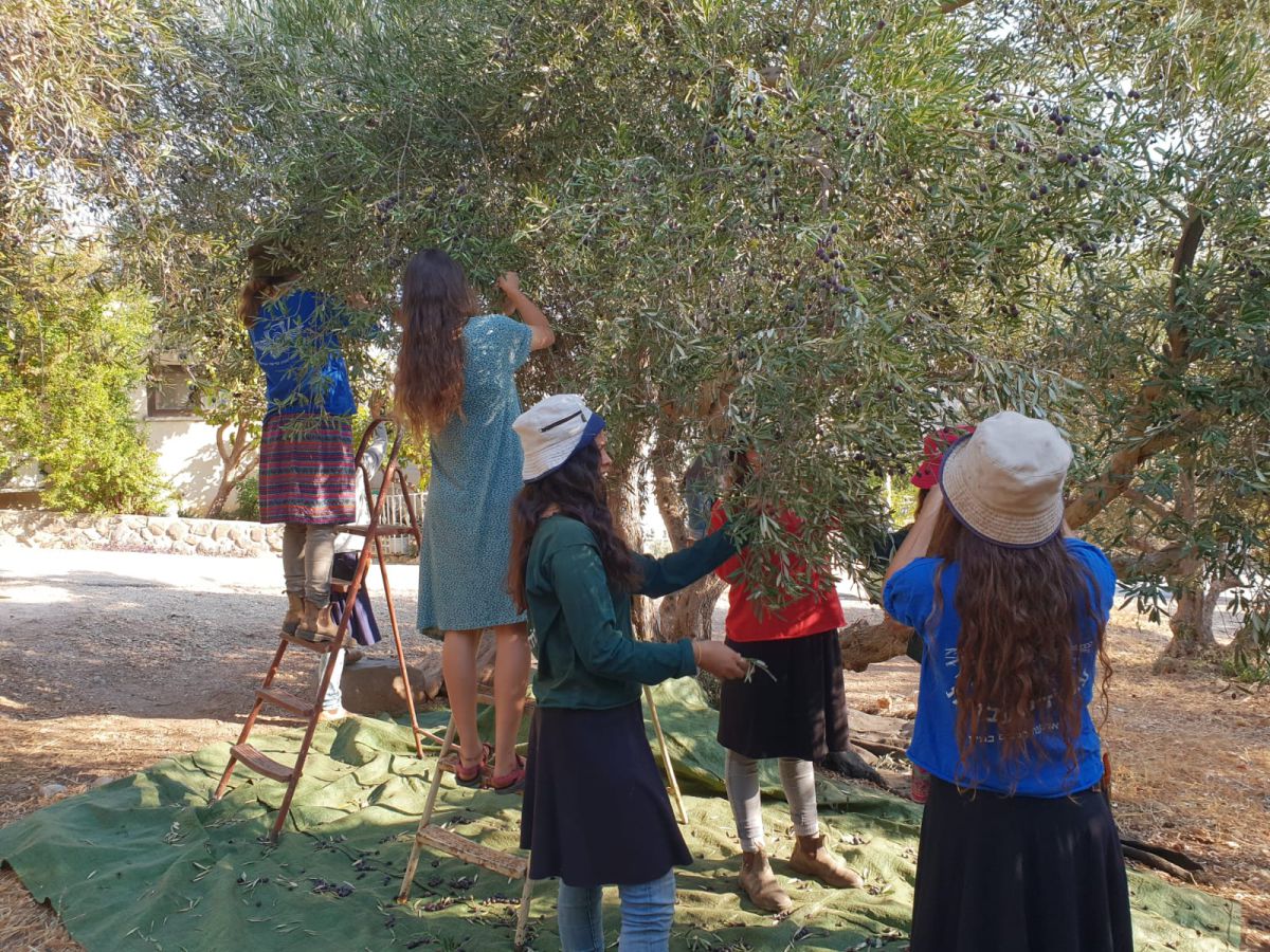 בוגרת ח'? אל תבחרי, תשלבי!
