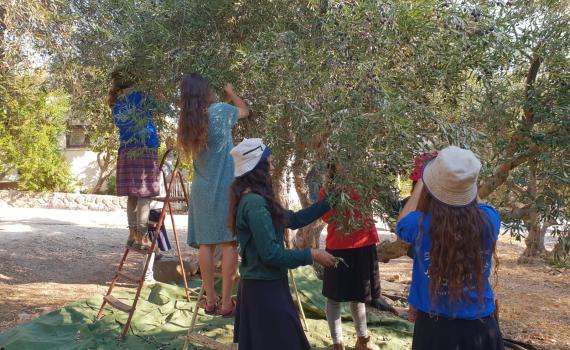 בוגרת ח'? אל תבחרי, תשלבי!