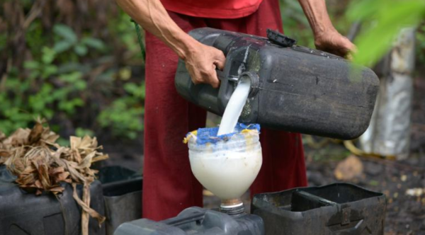 החג הפך לאסון: 11 נהרגו ו-300 אושפזו משתיית יין