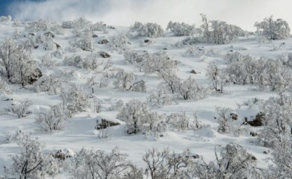 סוער מצפון עד דרום; השלג חוזר: תחזית מזג האוויר לחנוכה