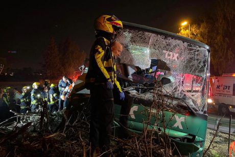 ההרוגה השלישית בתאונה: ברטה שוורץ מארה"ב