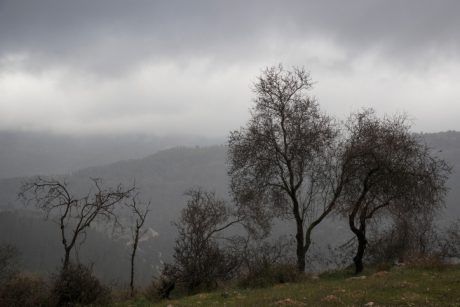 הגשמים יתחזקו, סיכוי לשלג: תחזית מזג האוויר