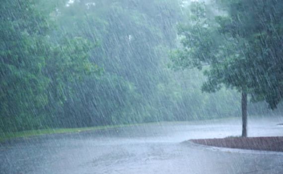 למה יום הגשמים גדול כיום תחיית המתים?