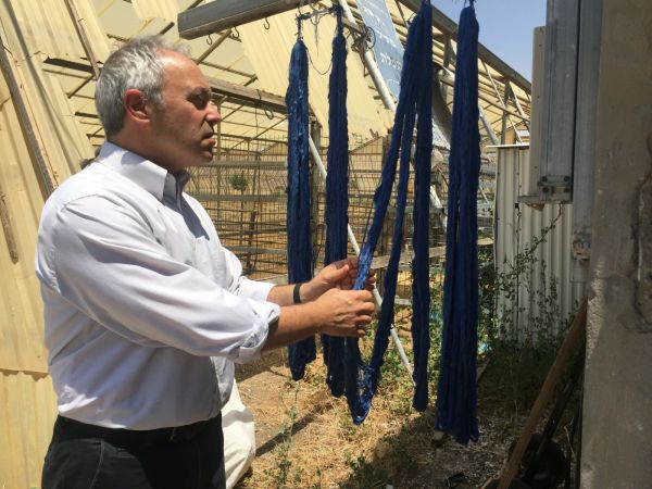 המהפכה החינוכית של עמותת פתיל תכלת