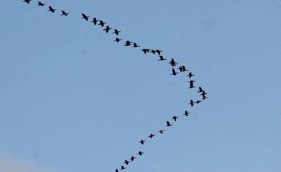 החורף לא מגיע; חם ויבש: תחזית מזג אוויר לסופ"ש