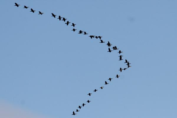 החורף לא מגיע; חם ויבש: תחזית מזג אוויר לסופ"ש