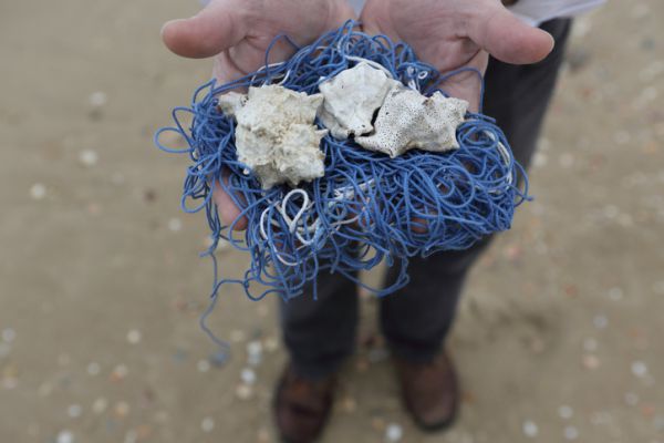 מתגייסים למען מפעל התכלת | תרמו עכשיו