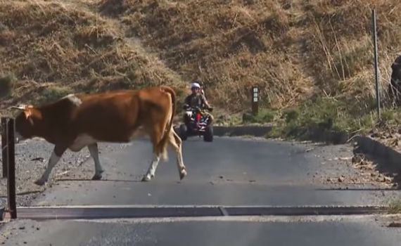 צפו: דרכים מקוריות לחצות את ישראל לאורכה
