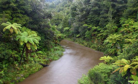 טרגדיה בניו זילנד: מטייל ישראלי נסחף בנהר ונהרג