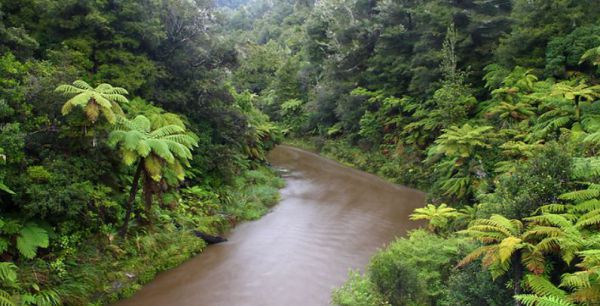 טרגדיה בניו זילנד: מטייל ישראלי נסחף בנהר ונהרג