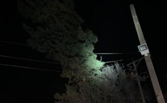 נזקי מזג האוויר: עצים קרסו על מכוניות; קווי מתח נקרעו