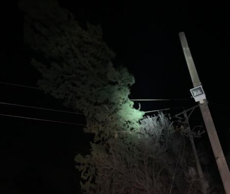 נזקי מזג האוויר: עצים קרסו על מכוניות; קווי מתח נקרעו