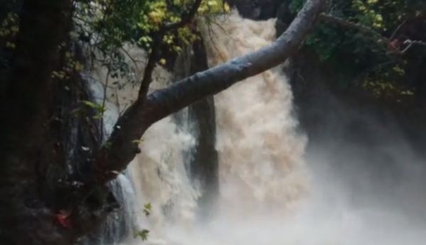 שלג ללא הפסקה, זרימות ועליה במפלס הכנרת. צפו