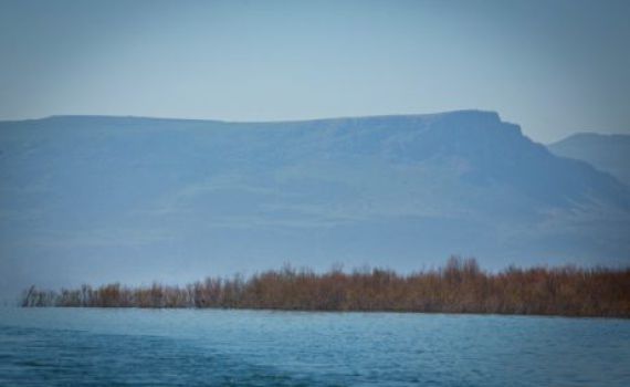 בפחות מחודש: מפלס הכנרת בעוד נתון מרשים