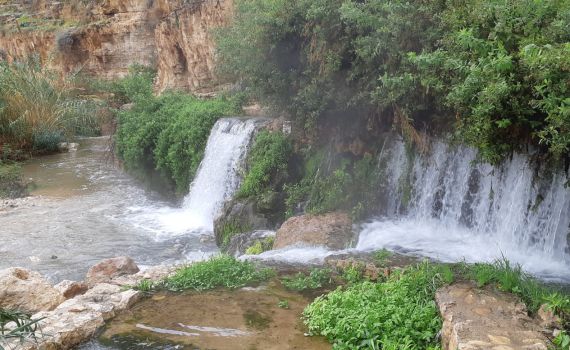 גם בלי גשם: כמויות אדירות של מים בנחלי הצפון. צפו