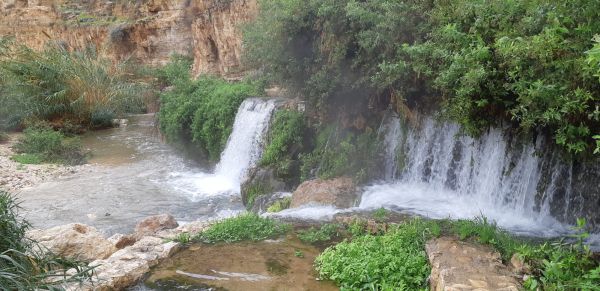 גם בלי גשם: כמויות אדירות של מים בנחלי הצפון. צפו