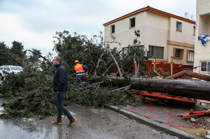 נזקי מזג האוויר: המדריך המלא לנפגעי הסערה