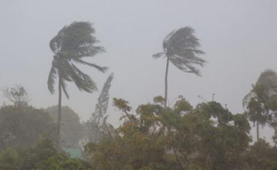 הסופה בהודו: מאמצים ליצור קשר עם הנעדרים