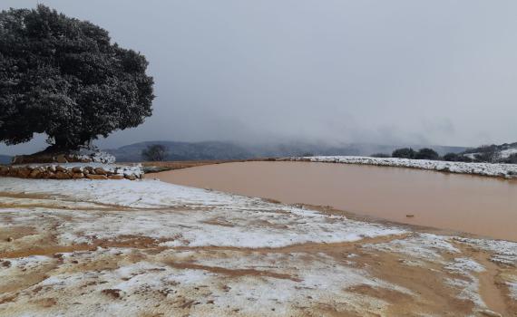 שלג החל לרדת בצפון; כוננות שלג בירושלים. צפו