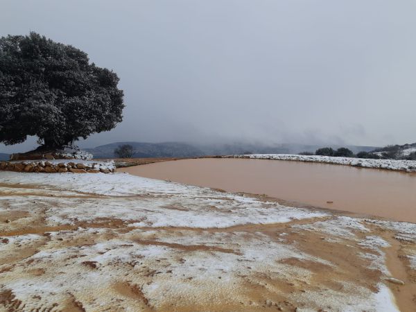שלג החל לרדת בצפון; כוננות שלג בירושלים. צפו